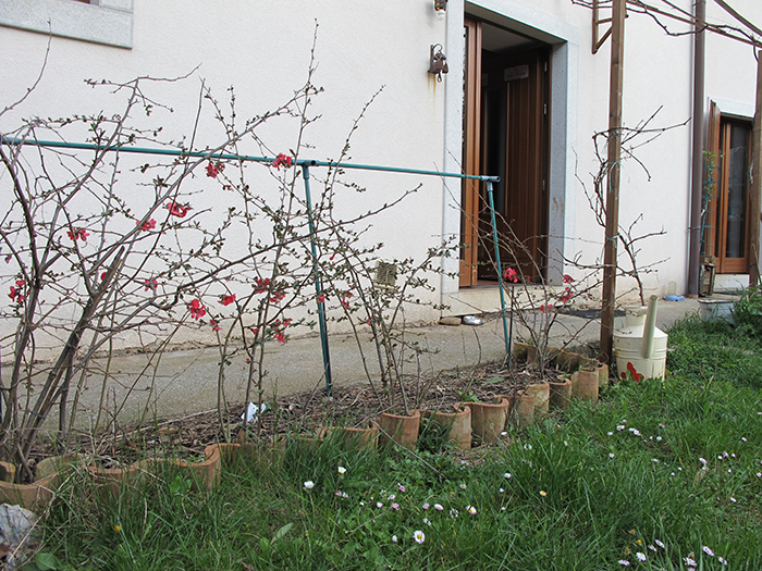 Casa indipendente in Vendita a Draga Sant’elia San Dorligo Della Valle (TS) – rif. V1601