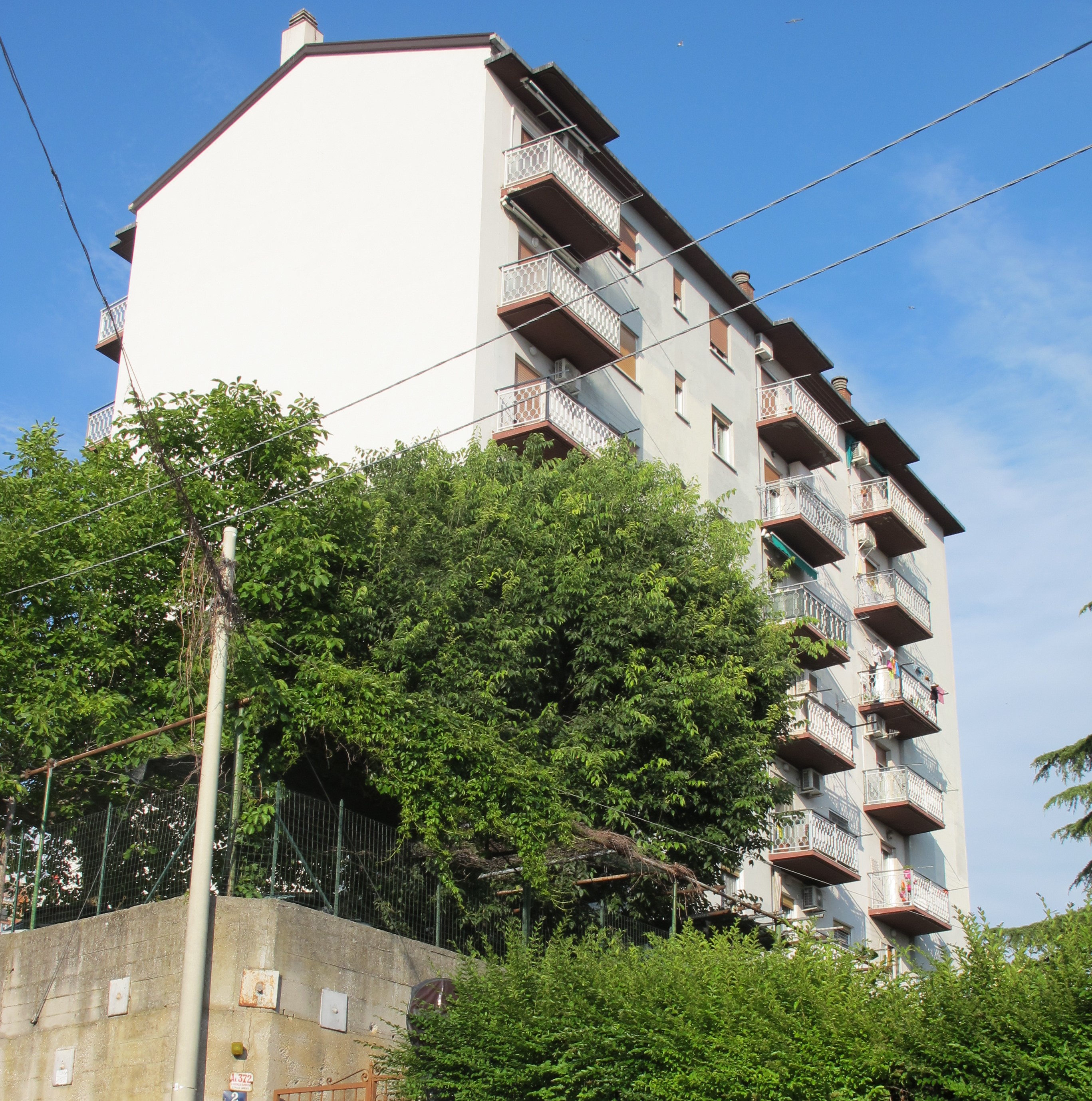 IMG_7890 (2)